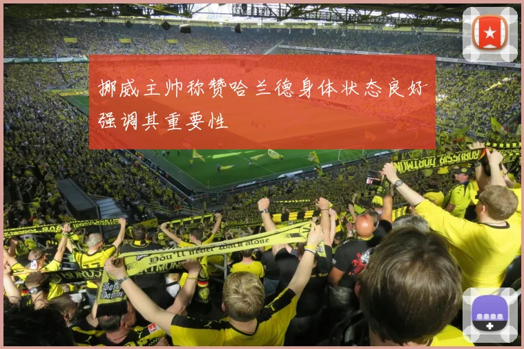 挪威主帅称赞哈兰德身体状态良好强调其重要性